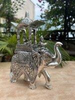 Ambabari Elephant-5